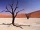 Namib Trockenwüste